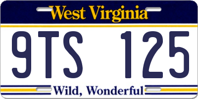 WV license plate 9TS125