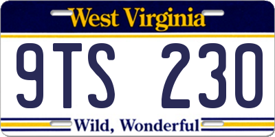 WV license plate 9TS230