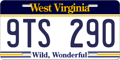 WV license plate 9TS290