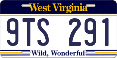 WV license plate 9TS291