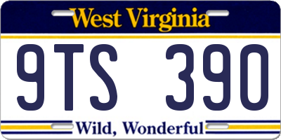 WV license plate 9TS390