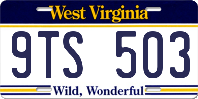WV license plate 9TS503