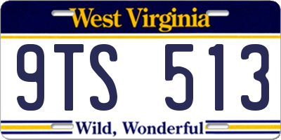 WV license plate 9TS513