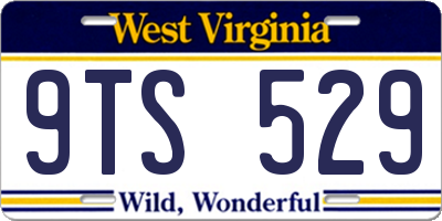 WV license plate 9TS529