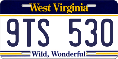 WV license plate 9TS530