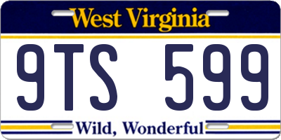 WV license plate 9TS599