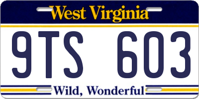 WV license plate 9TS603