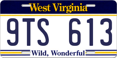 WV license plate 9TS613