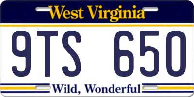 WV license plate 9TS650