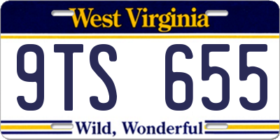 WV license plate 9TS655