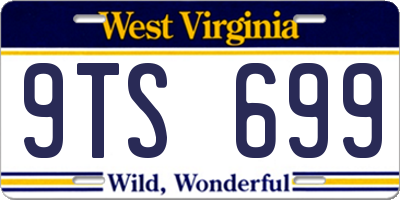 WV license plate 9TS699