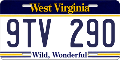 WV license plate 9TV290