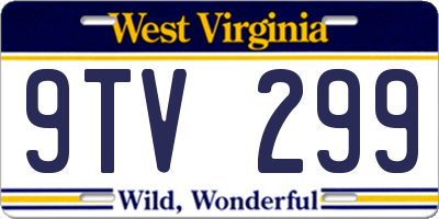WV license plate 9TV299