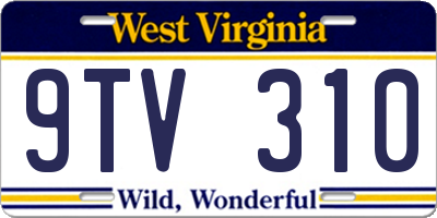 WV license plate 9TV310