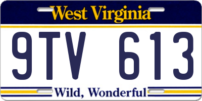 WV license plate 9TV613