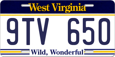 WV license plate 9TV650