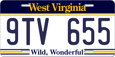 WV license plate 9TV655