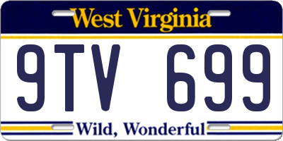 WV license plate 9TV699