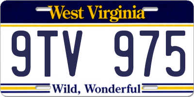 WV license plate 9TV975