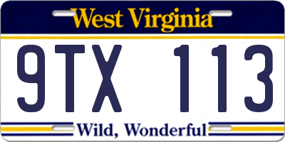 WV license plate 9TX113