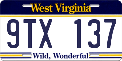 WV license plate 9TX137