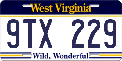 WV license plate 9TX229