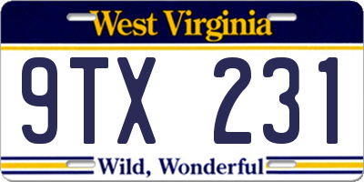 WV license plate 9TX231