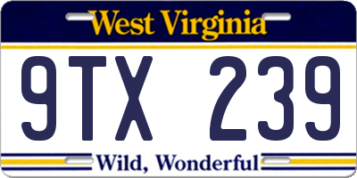 WV license plate 9TX239