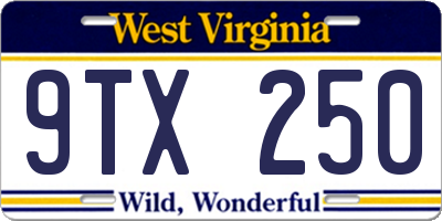 WV license plate 9TX250