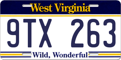 WV license plate 9TX263