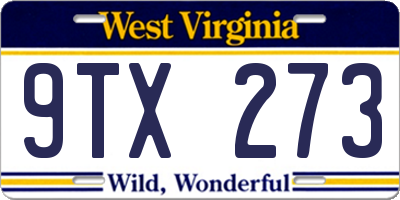 WV license plate 9TX273