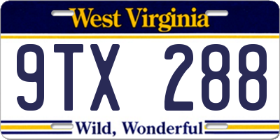 WV license plate 9TX288
