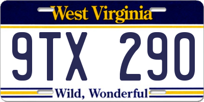 WV license plate 9TX290