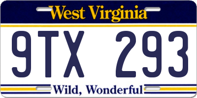 WV license plate 9TX293