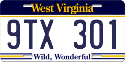 WV license plate 9TX301
