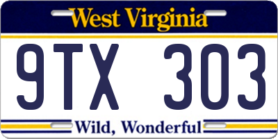WV license plate 9TX303