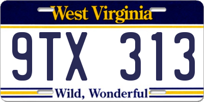 WV license plate 9TX313