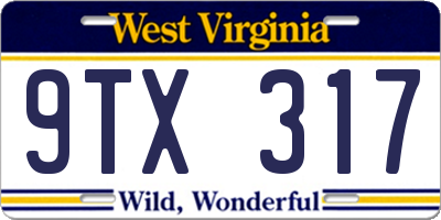 WV license plate 9TX317