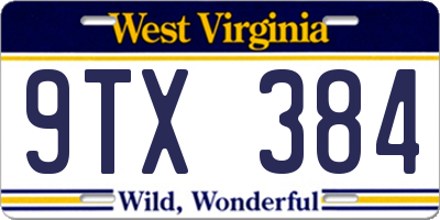 WV license plate 9TX384