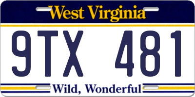 WV license plate 9TX481