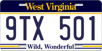 WV license plate 9TX501