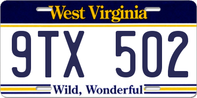 WV license plate 9TX502