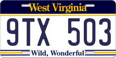 WV license plate 9TX503