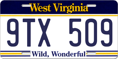 WV license plate 9TX509