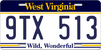 WV license plate 9TX513