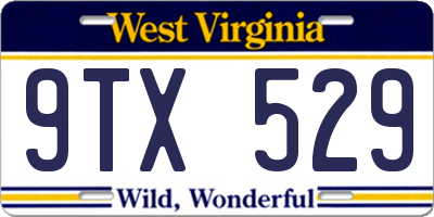 WV license plate 9TX529