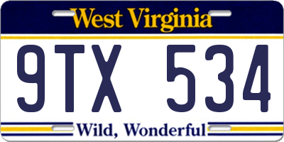 WV license plate 9TX534
