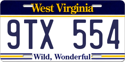 WV license plate 9TX554