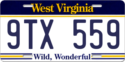 WV license plate 9TX559