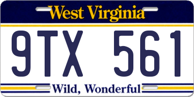 WV license plate 9TX561